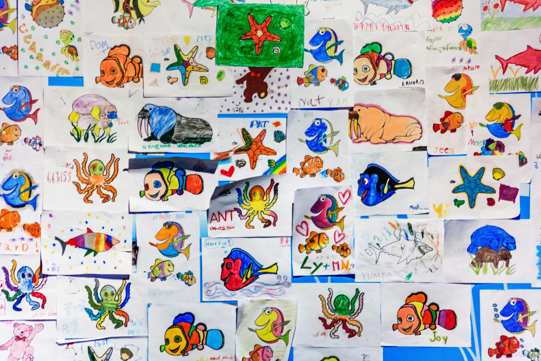 A wall covered in dozens of children's drawings — fish, octopuses, starfish, and clownfish in crayon and marker, each on its own sheet of paper.