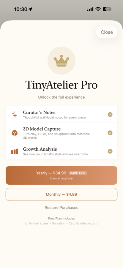 TinyAtelier Pro paywall